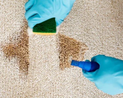 Carpet Care